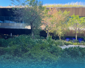 zdjęcie przedstawiające nowe centrum HB Botswana