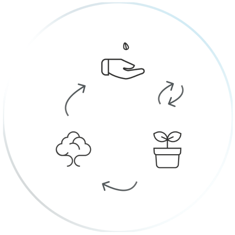 ilustracja schemat działania venture buildera - Seed-up, Grow-up, Scale-up, schemat ręka z nasionem przechodzi do doniczki z rośliną lub z powrotem do ręki z nasionem, następnie do drzewa, następnie do ręki z nasionem.
